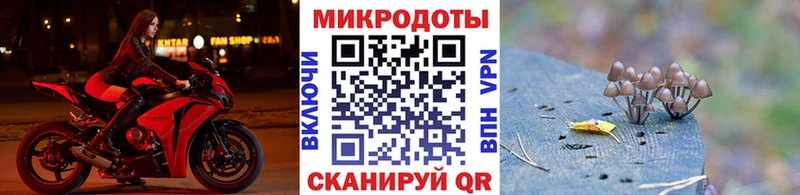 Галлюциногенные грибы мицелий Навашино