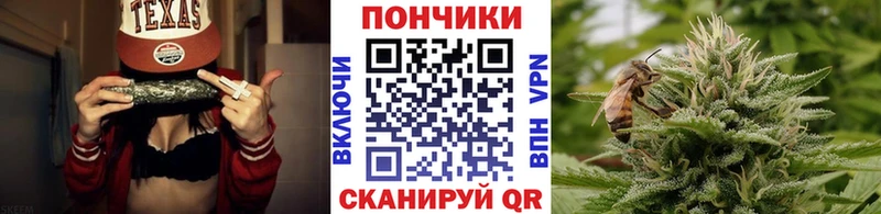 закладка  Навашино  Бошки Шишки VHQ 